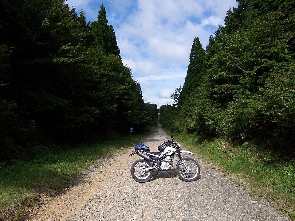 瀞川氷ノ山林道（氷ノ山林道）