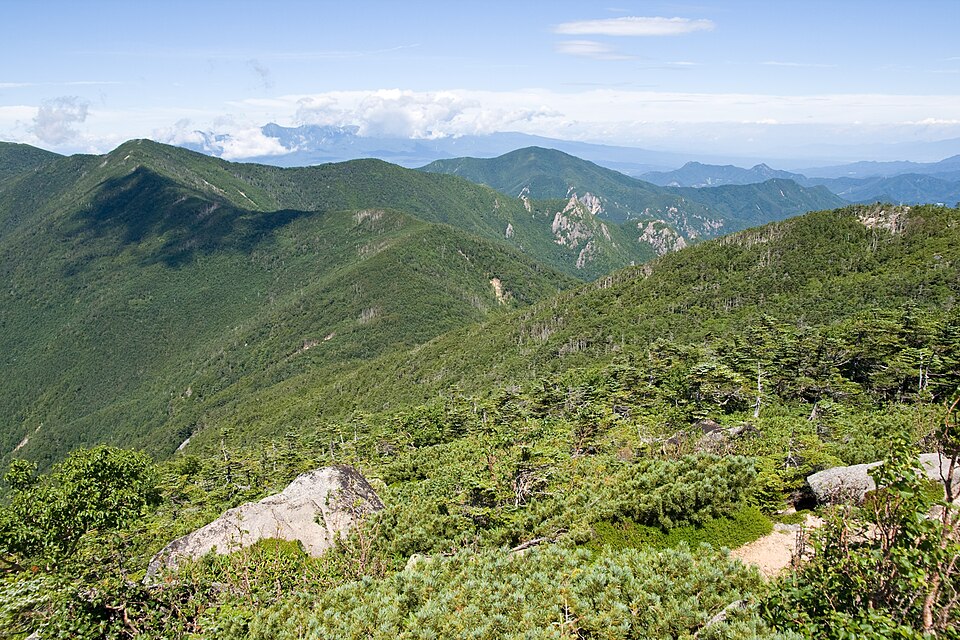 川上牧丘林道（大弛峠越え）
